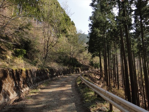 DSC06835_R