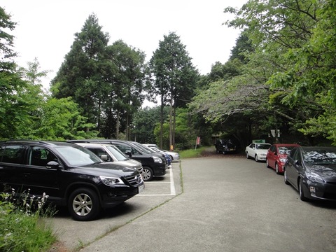 DSC03712_R