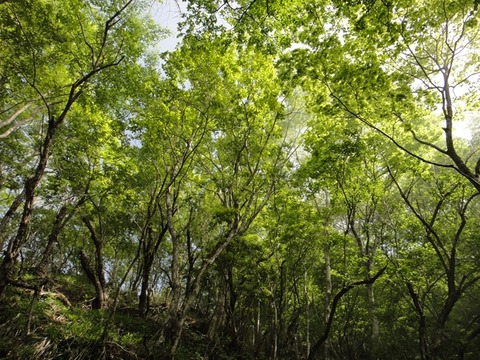 DSC03753_R