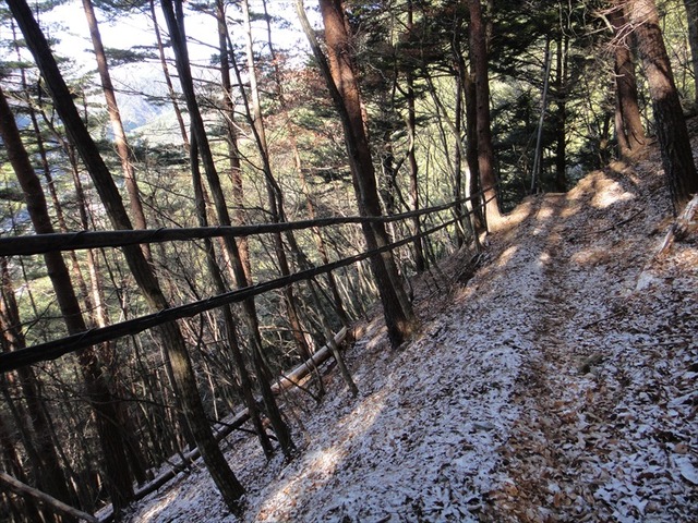 DSC00355_R