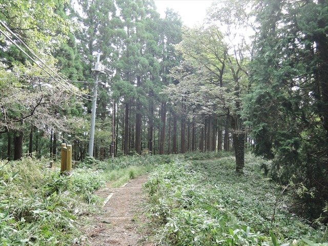 DSCN3279_R