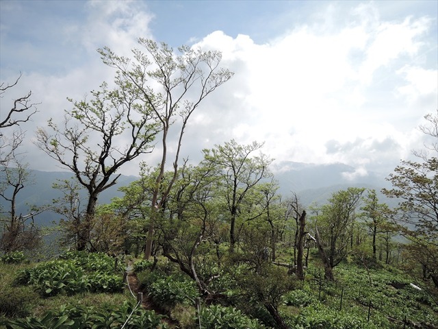 DSCN1760_R