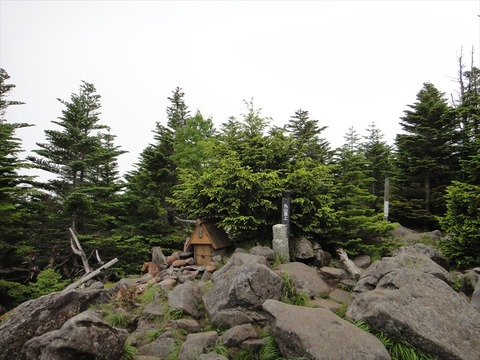 DSC08224_R