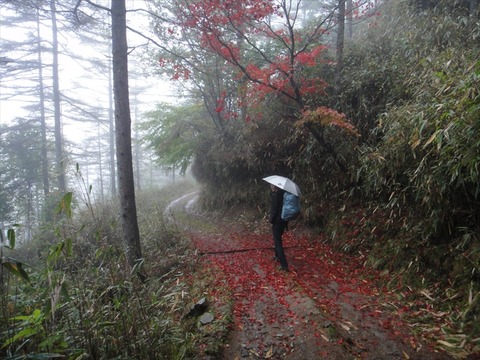 DSC09423_R