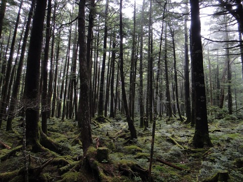 DSC08160_R