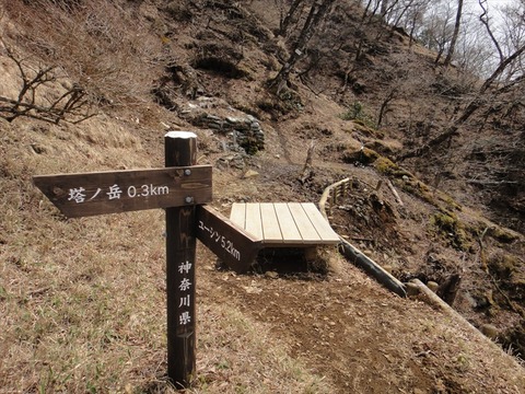 DSC06891_R