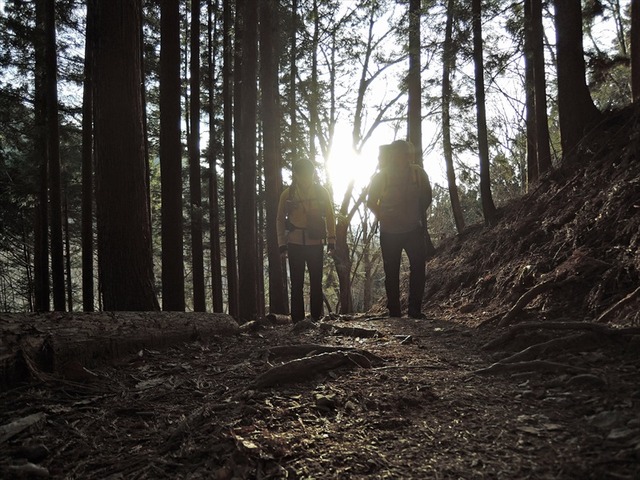 DSCN8333_R