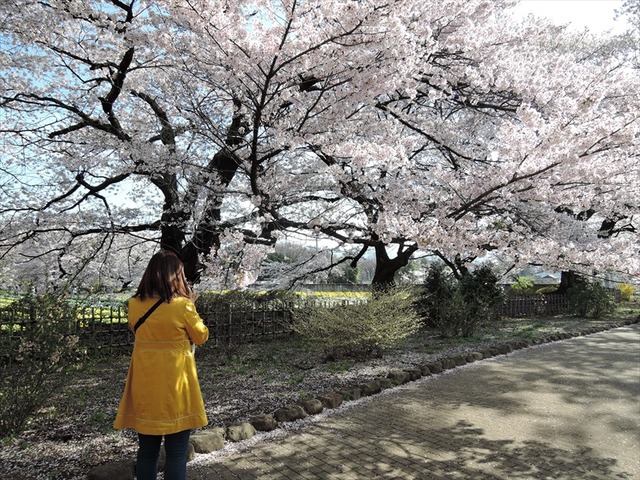 DSCN1211_R