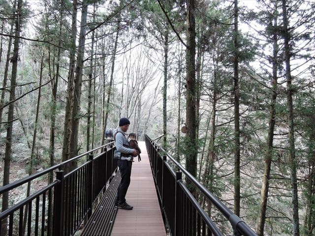 DSCN4772_R