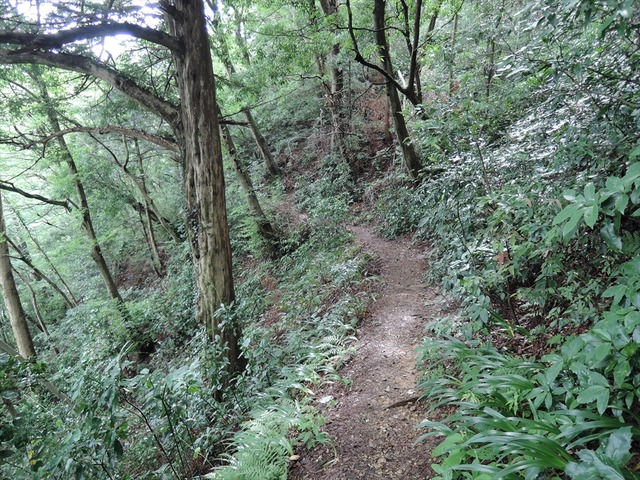 DSCN4221_R