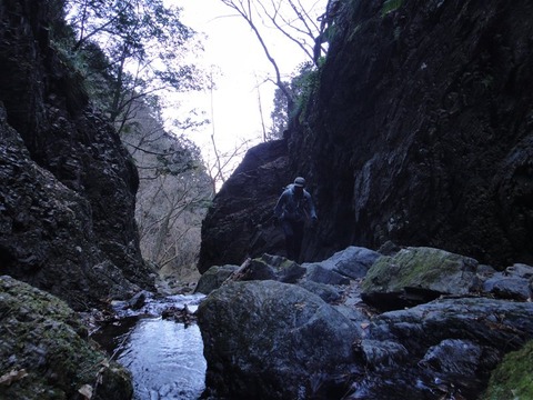 DSC06283