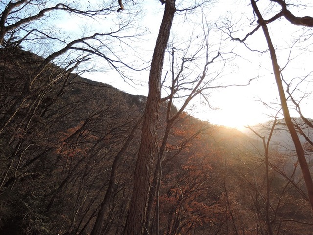 DSCN8327_R
