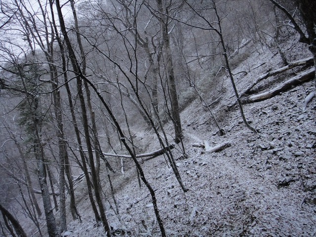 DSC00197_R