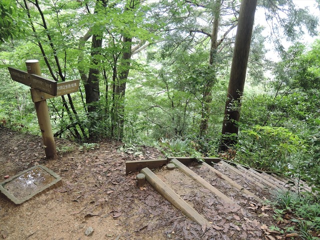 DSCN4220_R