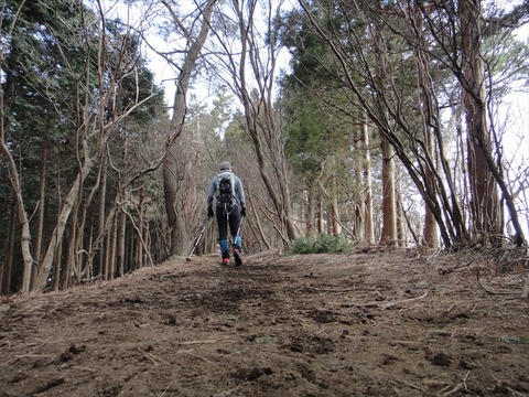 DSC06452_R