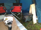 16580bee.jpg