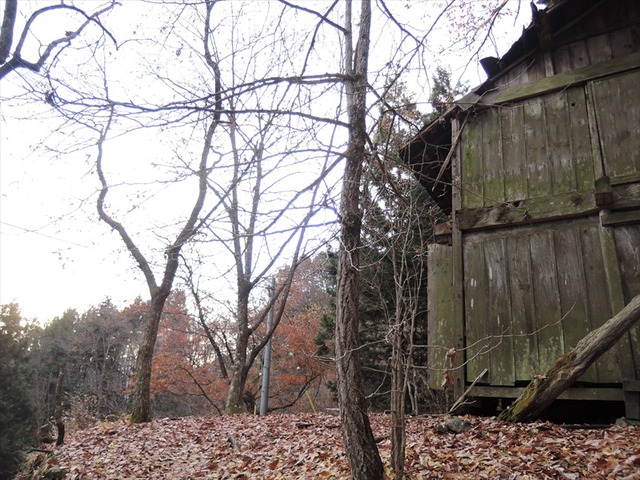 DSCN6620_R