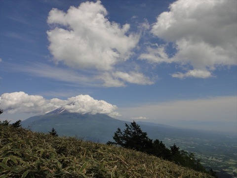 DSC07785_R