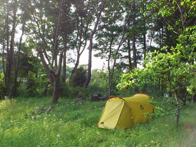 テント・タープ msr skinny too MSR＞SKINNY TOO ＆ FOOTPRINT - 中古アウトドア用品・中古登山