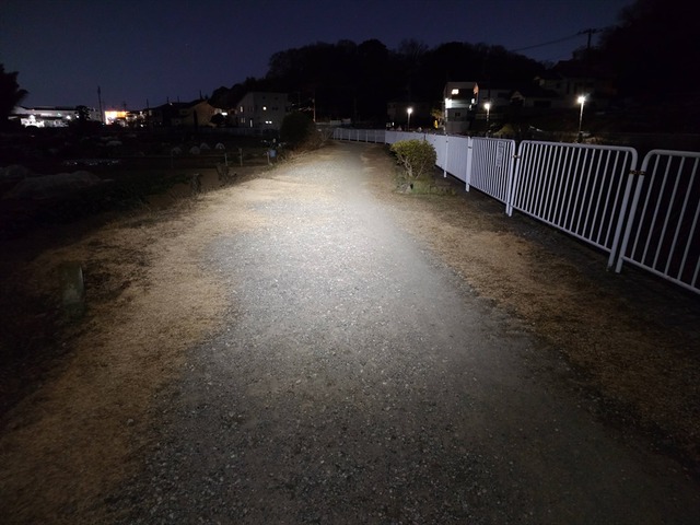 20250210_215036_R