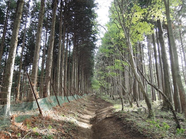 DSCN9827_R