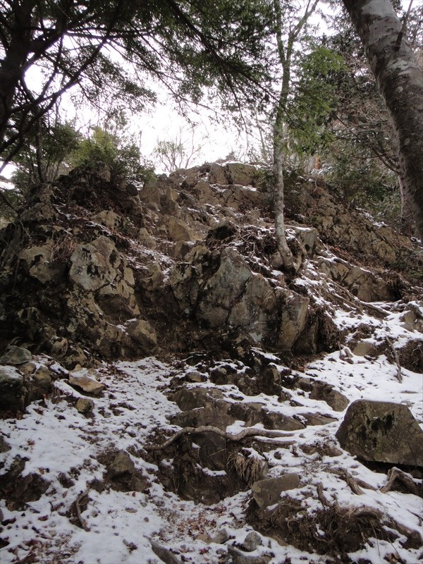 DSC00149_R