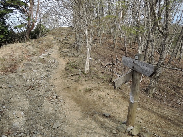 DSCN7475_R