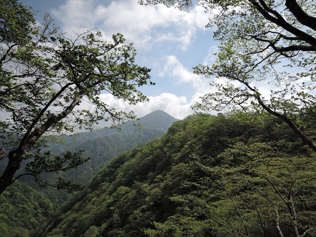 DSCN1768_R
