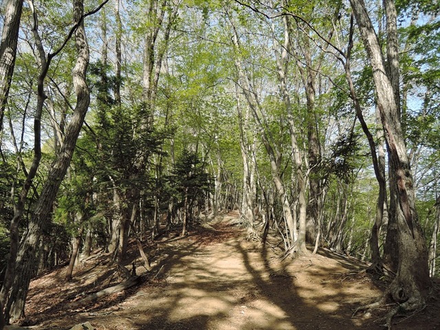 DSCN7450_R