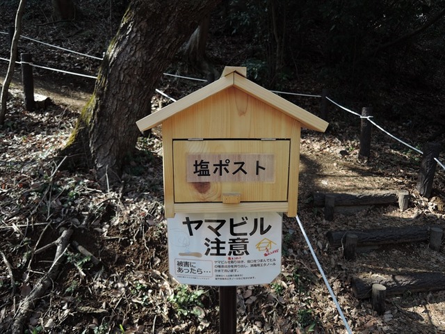 DSCN4754_R