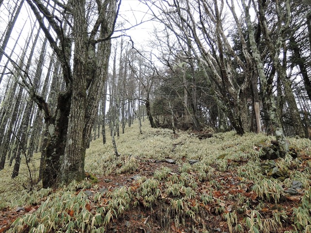 DSCN3353_R