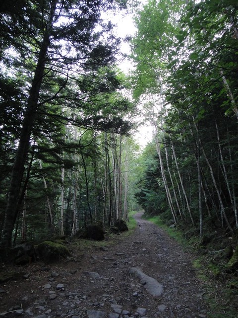 DSC04652