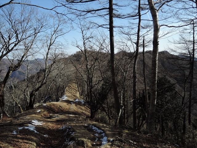 DSCN8359_R