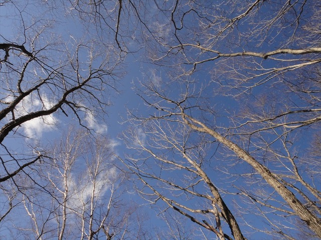 DSC00588_R