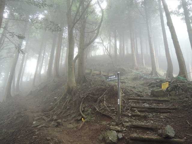 DSCN5992_R