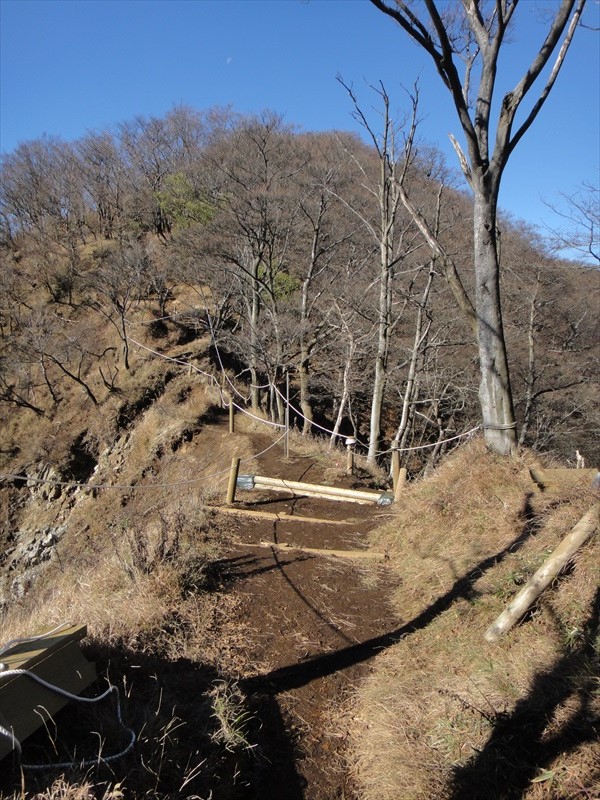 DSC09685_R