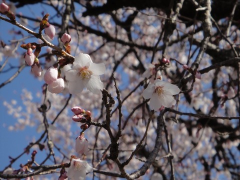 DSC06772_R