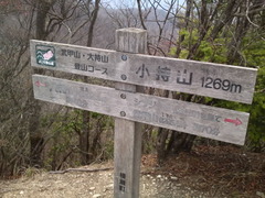213f8b10.jpg