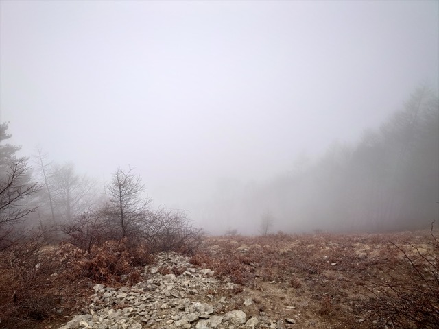 20201205_113239_R