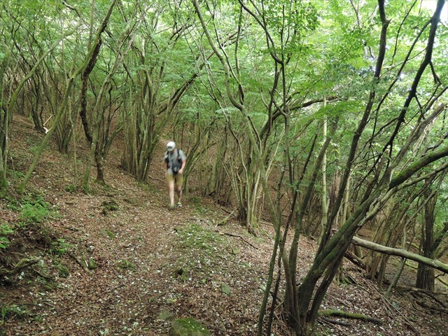 DSCN7862_R