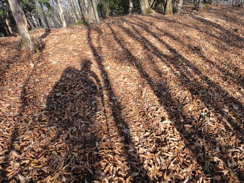 DSC05756_R