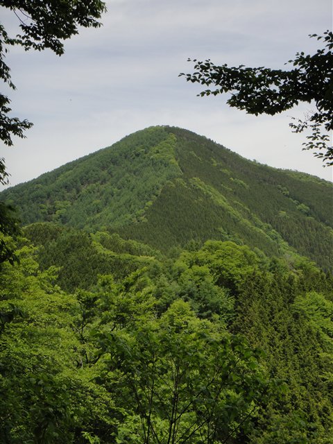 DSC03873