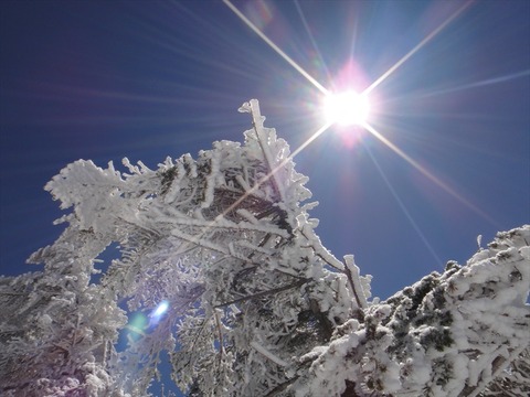 DSC06655_R