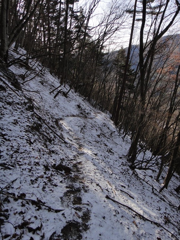 DSC00354_R