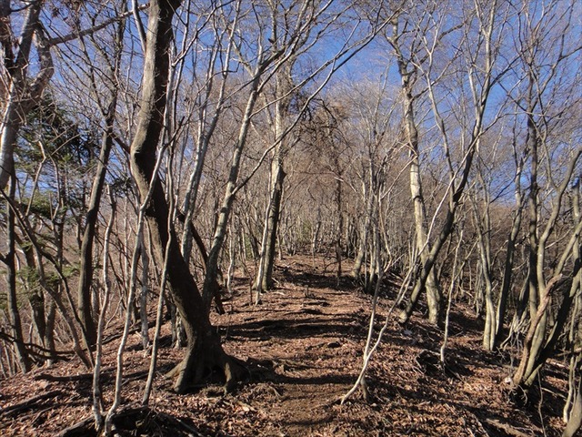 DSC00876_R