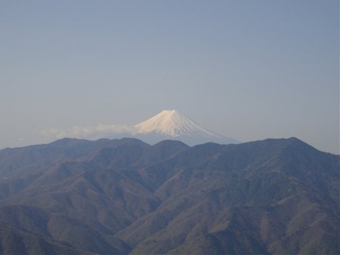 DSC03549