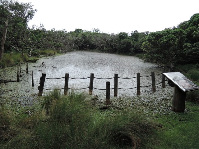 DSCN7774_R