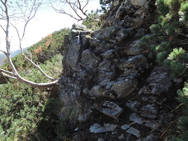 DSCN8790_R