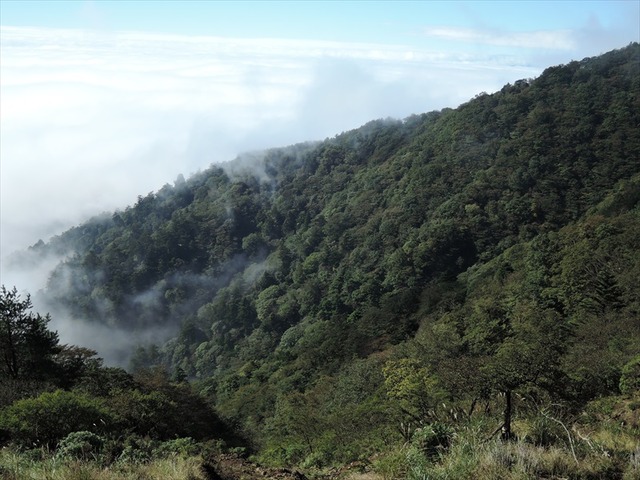 DSCN6001_R