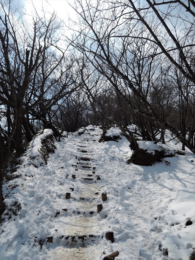 DSCN7230_R